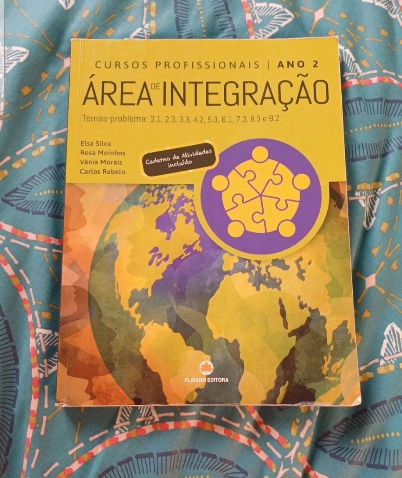 Manual ensino profissional Área integração Ano 2 